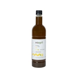 Lemon Sharbat